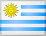 乌拉圭国家报